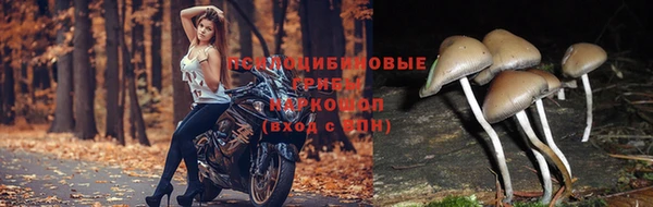 меф VHQ Баксан