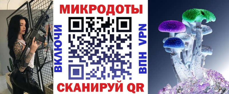 где найти наркотики  Вуктыл  Галлюциногенные грибы Psilocybe 